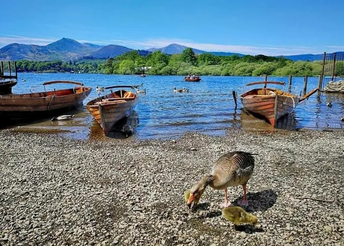 Inglenook Caravan Campingplatz *